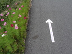 01110140haiku.jpg