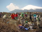 070504shokujyu.jpg