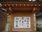 080114ossama.jpg
