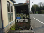 080326seruri.jpg