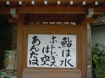 080628ossama.jpg