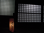 080813hotaru2.jpg