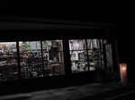 080813hotaru3.jpg