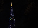 081208tokio.jpg
