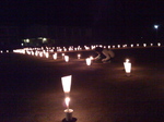 081221hikari.jpg