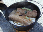 090315buta.jpg