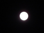 090414moon.jpg
