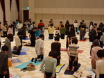 090418aeru2.jpg
