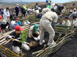 090502fujishokujyu.jpg