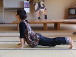 091113kakato.jpg
