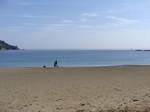 100205oohama.jpg