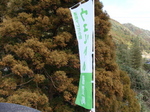 100205welnaka.jpg