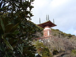 100208yakuouji.jpg
