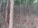 100418take.jpg