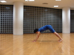 100430dai5-2.jpg