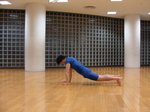 100430dai5-4.jpg