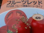100521tomato.jpg