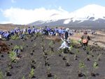 20120429植樹.jpg