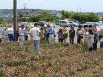 20120528たんじゅん林.jpg