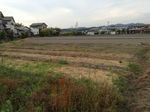 20130518草抜き終了.jpg