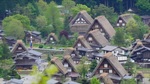 IMG_8538.jpg