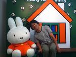 miffy.jpg